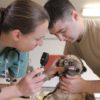 top veterinary schools